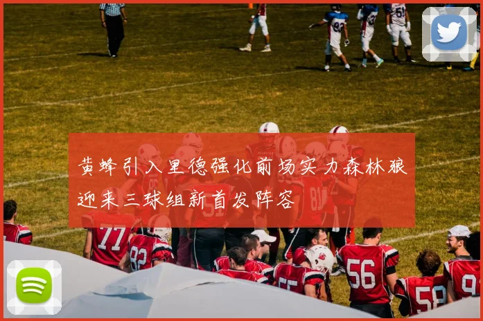 黄蜂引入里德强化前场实力森林狼迎来三球组新首发阵容