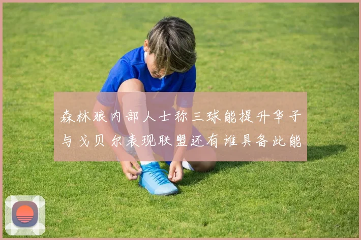 森林狼内部人士称三球能提升华子与戈贝尔表现联盟还有谁具备此能力