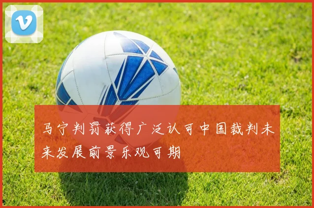 马宁判罚获得广泛认可中国裁判未来发展前景乐观可期
